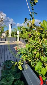 Acheter Appartement 122 m2 Cagnes-sur-mer