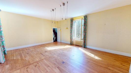 Acheter Prestige Ouzouer-sur-trezee 490000 euros