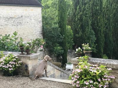 Acheter Maison Chantilly Oise