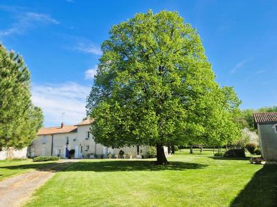 Acheter Maison 230 m2 Fleure