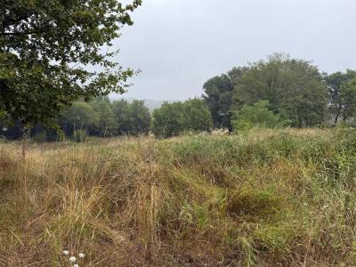 For sale Saint-martin-de-laye 1300 m2 Gironde (33910) photo 0