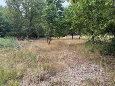 Annonce Vente Terrain Saint-martin-de-laye 33