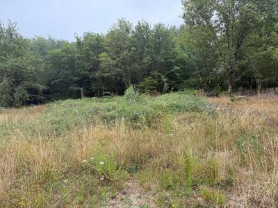 Acheter Terrain 1300 m2 Saint-martin-de-laye
