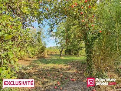 For sale Marce 5 rooms 140 m2 Maine et loire (49140) photo 3