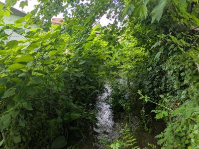 Acheter Terrain 1047 m2 Seraincourt