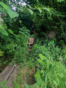 Acheter Terrain Seraincourt 44000 euros