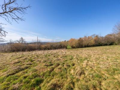 Annonce Vente Terrain Sainte-agathe-en-donzy 42