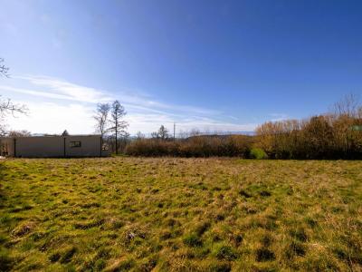 Acheter Terrain Sainte-agathe-en-donzy Loire