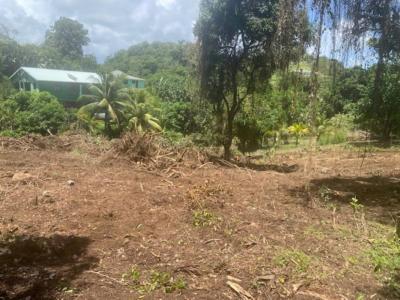 For sale Marin 1628 m2 Martinique (97290) photo 0