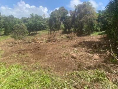Annonce Vente Terrain Marin 972