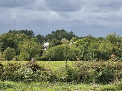 Annonce Vente Terrain Cosnac 19