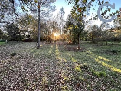 Annonce Vente Terrain Montignargues 30