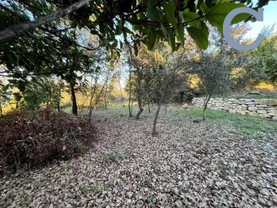 Acheter Terrain Montignargues Gard