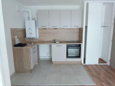 Annonce Location 2 pices Appartement Chevigny-saint-sauveur 21