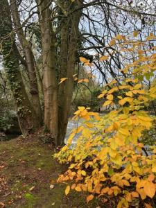 Louer Appartement Cramoisy Oise