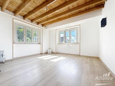 Annonce Vente 3 pices Appartement Allondans 25