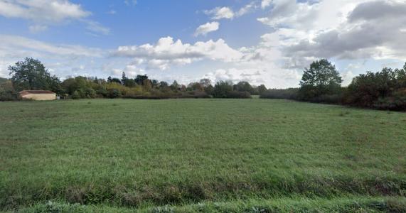 Annonce Vente 4 pices Maison Buzet-sur-tarn 31