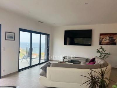 Acheter Prestige 213 m2 Port-vendres