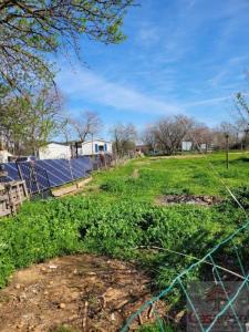 For sale Manduel 1000 m2 Gard (30129) photo 2