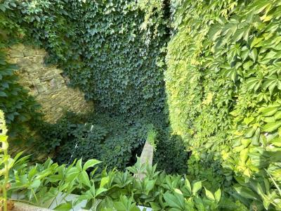 For sale 4 rooms 151 m2 Herault (34210) photo 2