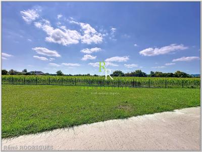 Annonce Vente 9 pices Maison Uzein 64