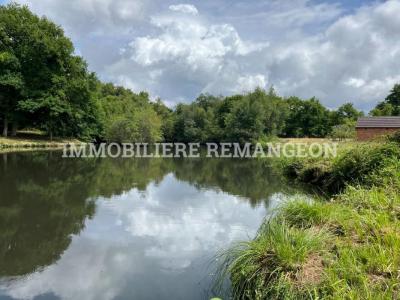 Annonce Vente 7 pices Maison Brinon-sur-sauldre 18