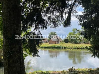 Acheter Maison Brinon-sur-sauldre Cher