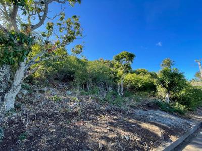 For sale On-saint-leu 3470 m2 Reunion (97436) photo 1