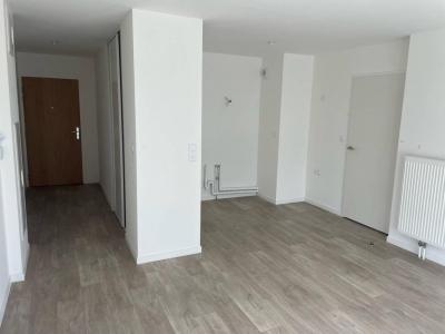 Annonce Location 2 pices Appartement Vendeville 59