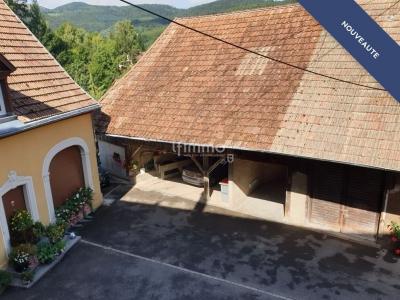 Annonce Vente Immeuble Breitenbach-haut-rhin 68