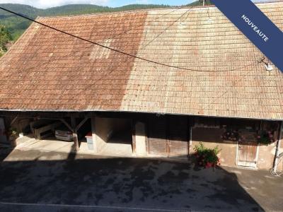 Acheter Immeuble Breitenbach-haut-rhin Haut rhin