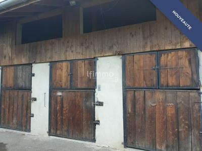 Acheter Immeuble Breitenbach-haut-rhin 629500 euros