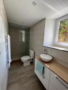 Annonce Location 2 pices Appartement Saint-michel-de-fronsac 33