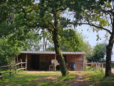 For sale Guerande 6 rooms 181 m2 Loire atlantique (44350) photo 2