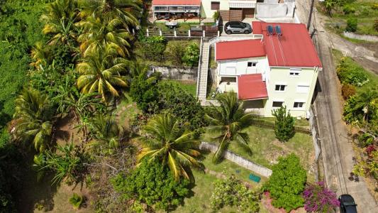 Annonce Vente Immeuble Francois 972