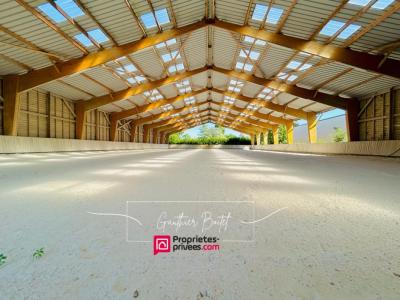 Annonce Vente 2 pices Maison Saint-augustin 77