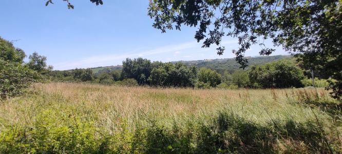 Annonce Vente Terrain Guiche 64
