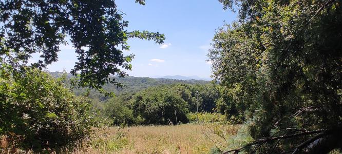 Acheter Terrain Guiche