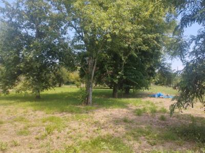 Annonce Vente Terrain Mondavezan 31