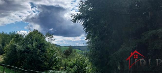 For sale Corravillers 16 rooms 1103 m2 Haute saone (70310) photo 1