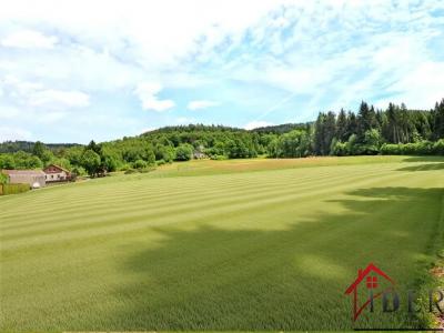 Annonce Vente 8 pices Maison Gerardmer 88