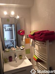 Louer Appartement Dijon 790 euros
