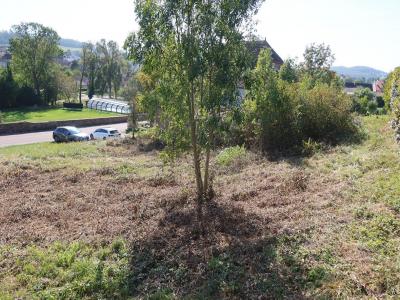Acheter Maison Besancon 280000 euros