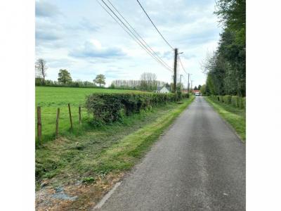 Annonce Vente Terrain Ruisseauville 62