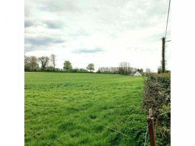 Acheter Terrain 986 m2 Ruisseauville