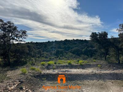 Annonce Vente Terrain Saint-restitut 26