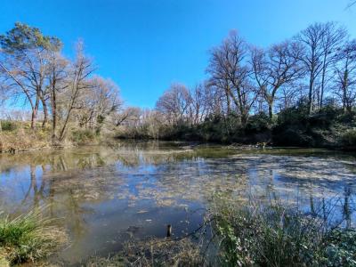 For sale Dax 12 rooms 263 m2 Landes (40100) photo 0