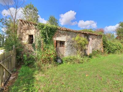 For sale Cours 2 rooms 91 m2 Deux sevres (79220) photo 3