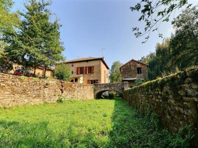 Acheter Maison 396 m2 Cluny