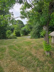 For sale Bauge BAUGA-EN-ANJOU Maine et loire (49150) photo 1